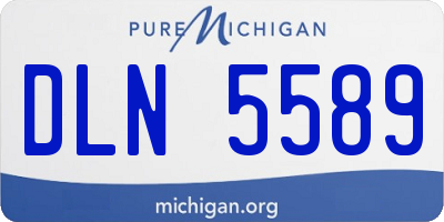 MI license plate DLN5589