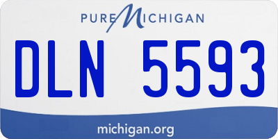 MI license plate DLN5593