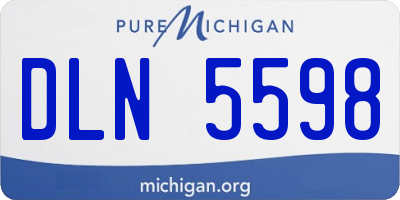 MI license plate DLN5598