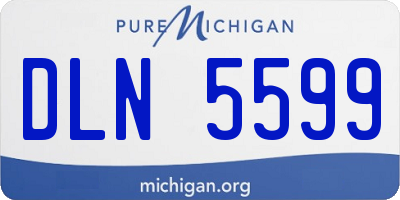 MI license plate DLN5599