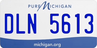 MI license plate DLN5613