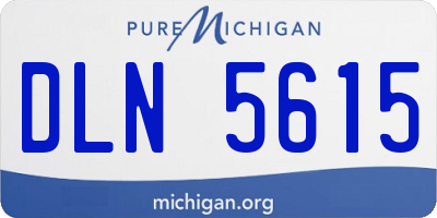 MI license plate DLN5615