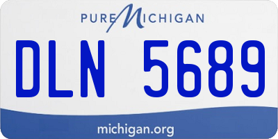 MI license plate DLN5689