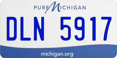 MI license plate DLN5917