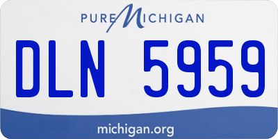 MI license plate DLN5959