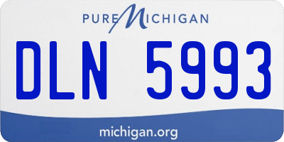 MI license plate DLN5993