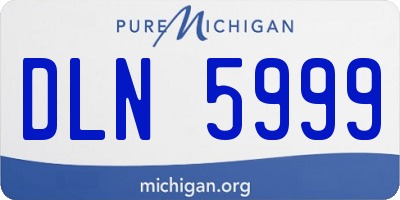 MI license plate DLN5999