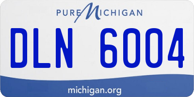 MI license plate DLN6004