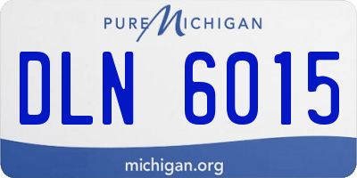 MI license plate DLN6015