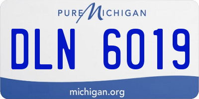 MI license plate DLN6019