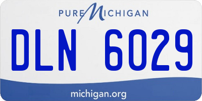 MI license plate DLN6029