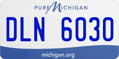 MI license plate DLN6030