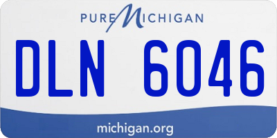 MI license plate DLN6046