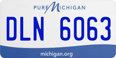 MI license plate DLN6063