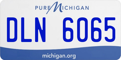 MI license plate DLN6065