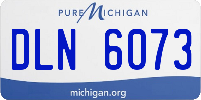 MI license plate DLN6073