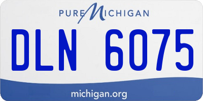 MI license plate DLN6075