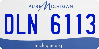 MI license plate DLN6113