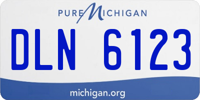 MI license plate DLN6123