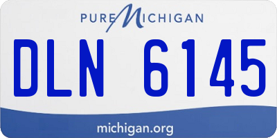 MI license plate DLN6145