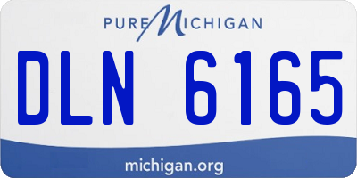 MI license plate DLN6165