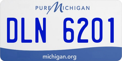 MI license plate DLN6201