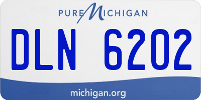 MI license plate DLN6202