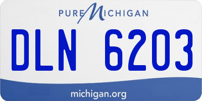 MI license plate DLN6203