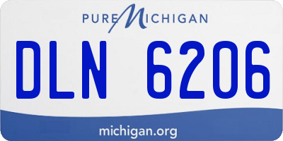 MI license plate DLN6206