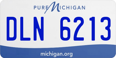 MI license plate DLN6213