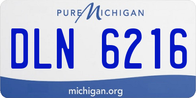 MI license plate DLN6216