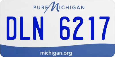 MI license plate DLN6217