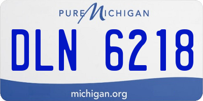 MI license plate DLN6218