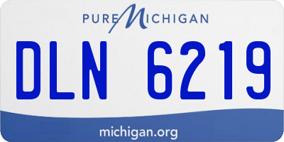 MI license plate DLN6219