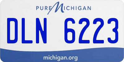 MI license plate DLN6223