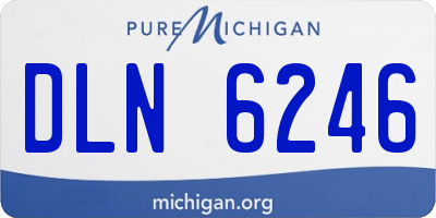 MI license plate DLN6246