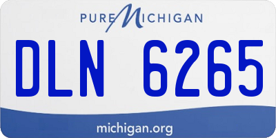 MI license plate DLN6265