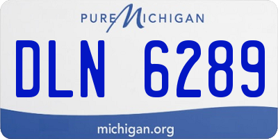 MI license plate DLN6289