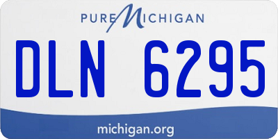 MI license plate DLN6295