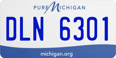 MI license plate DLN6301