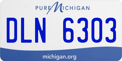 MI license plate DLN6303