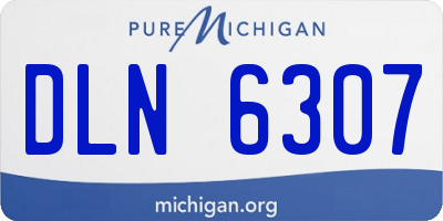 MI license plate DLN6307