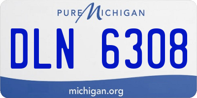 MI license plate DLN6308