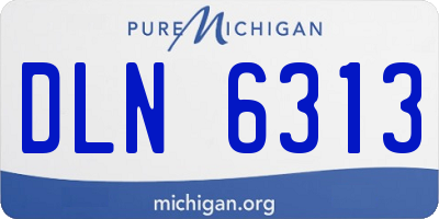 MI license plate DLN6313