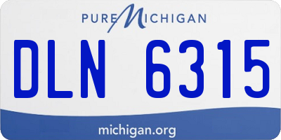 MI license plate DLN6315