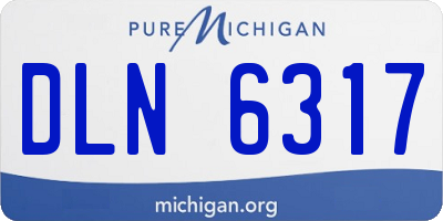 MI license plate DLN6317