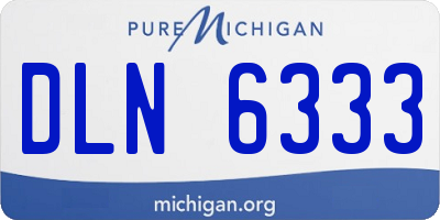 MI license plate DLN6333