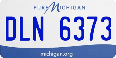 MI license plate DLN6373