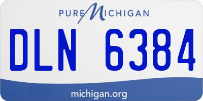 MI license plate DLN6384