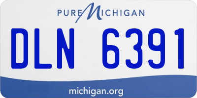 MI license plate DLN6391